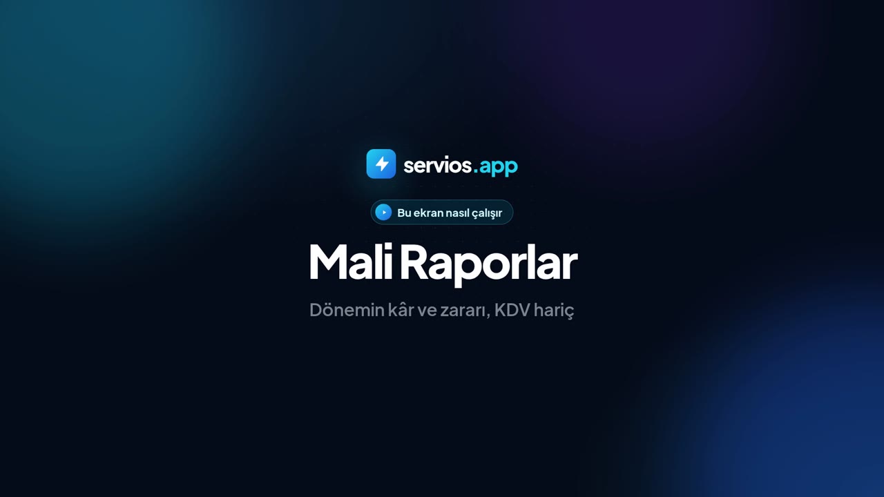 Mali Raporlar